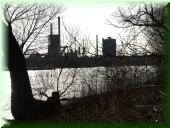 12_P1140531