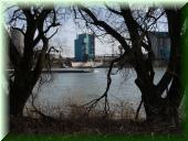 12_P1140554