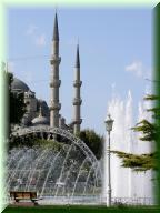 005DSCN6773