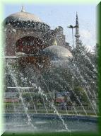 006DSCN6779