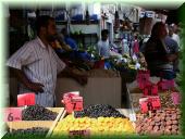 023DSCN6850