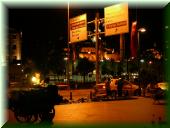 043DSCN6438