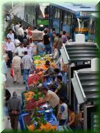 053dscn1463