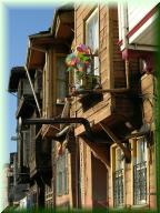 119dscn5374