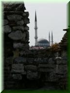 177DSCN6562