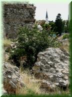 178DSCN6517