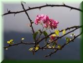 182_Villa_de_Leyva