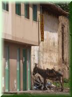 190_1_Villa_de_Leyva