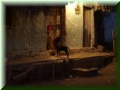 252_Palenque