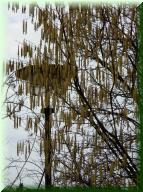 01_18_Februar