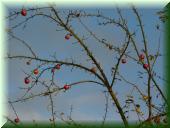10_02_November