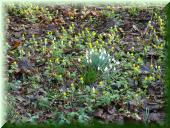 01_17_Februar 