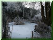 11_06_Dezember 