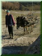 234_Guezelyurt