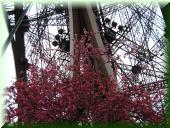 061_Eiffelturm