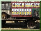 La_Borca__Fabuloso_Circo_Magico_Houdini 